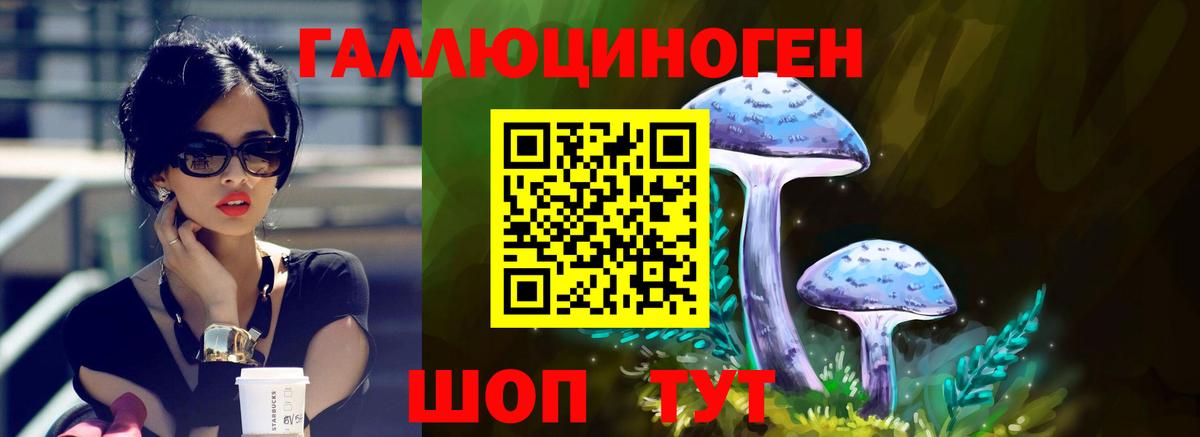 Галлюциногенные грибы прущие грибы  Вход с VPN  Каменск-Уральский 